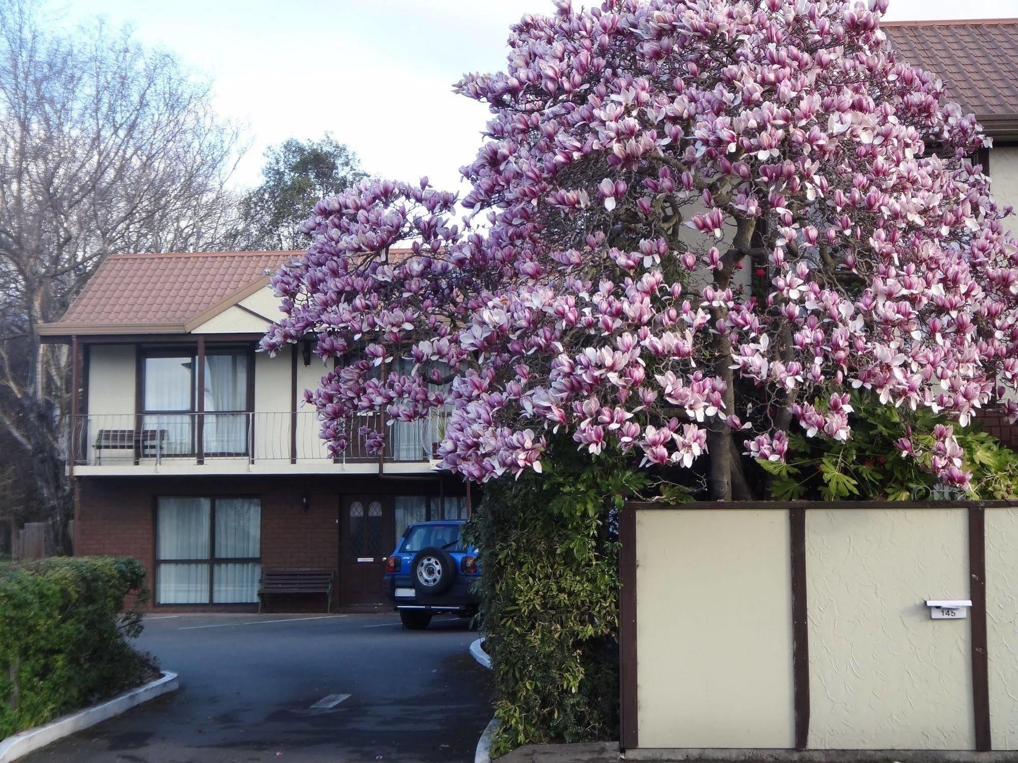 Argyle On The Park - Overlooking Hagley Park Motel 3*